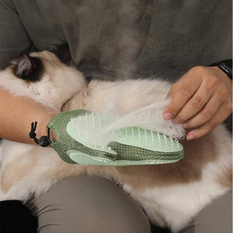 🐶Schneller Verkauf 49 % RABATT🐾Pflegehandschuhe für Katzen und Hunde mit integriertem Spray